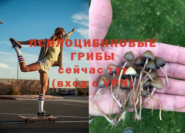 дмт Балабаново