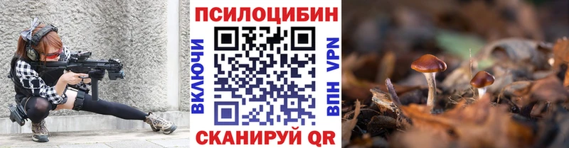 сколько стоит  Волгореченск  hydra ссылка  Псилоцибиновые грибы Cubensis 